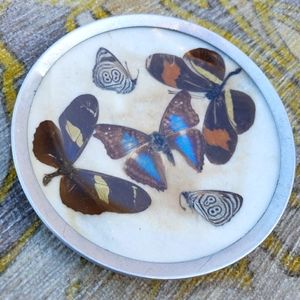 Vintage Butterfly Wall Hanging